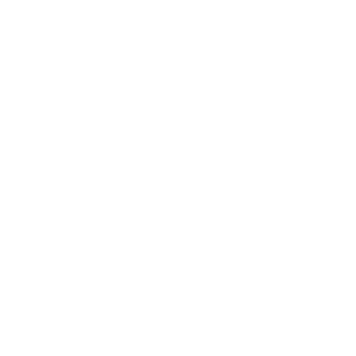 MAOT Store